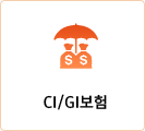 CI/GI보험